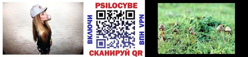 Псилоцибиновые грибы мухоморы  Купить где  Шали 